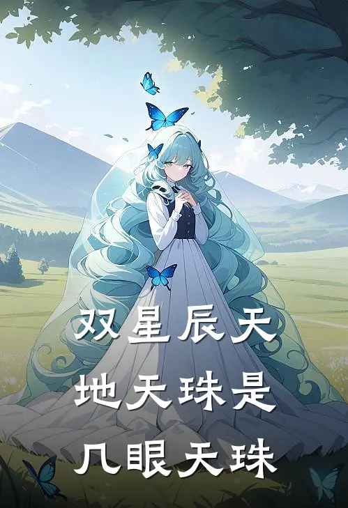 双星辰天地天珠是几眼天珠